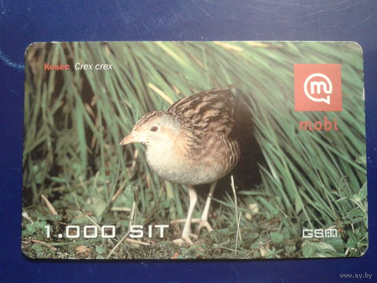 Словения 2008 птица