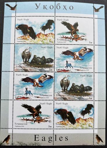 Таджикистан 2016 .Фауна. Птицы.