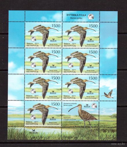 Беларусь-2011,(Мих.849)  м/л  Птица года
