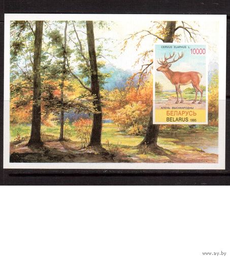 Беларусь-1995(Мих.Бл.5)  ** , Фауна, Олень