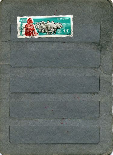 МОНГОЛИЯ, 1961,  ФАУНГА, ЖИВОТНОВОДСТВО,, 1м  ( справочно приведены номера и цены по Michel)