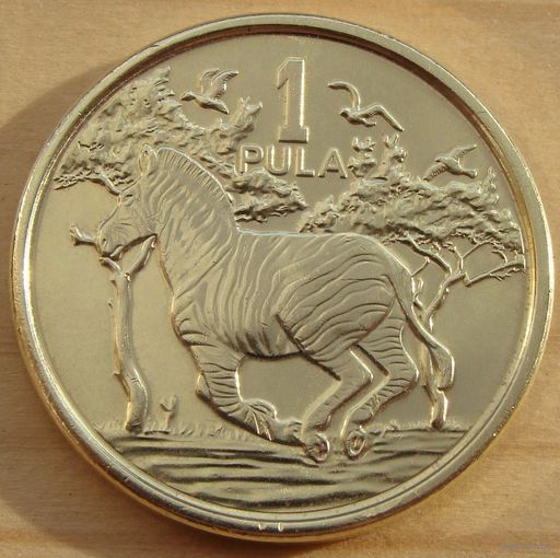 Ботсвана. 1 пула 2013 год KM#35  "Зебра"  "Новый дизайн"