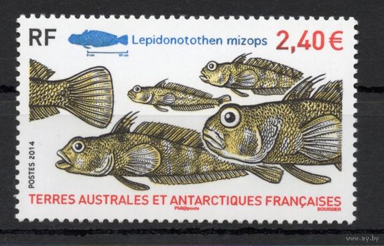 Французские Антарктические территории  2014. Рыбы 1 марка