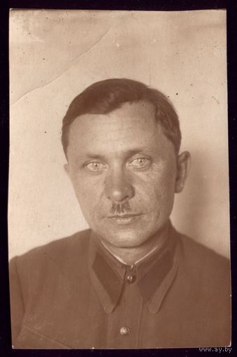 Лот из 4 фотографий комбат Алексеенко