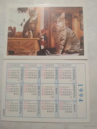 Карманный календарик. Котик.1994 год