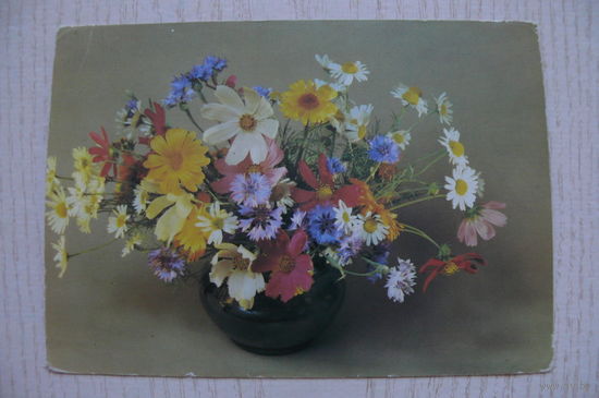 Савалов Е., Цветы; 1986, чистая.