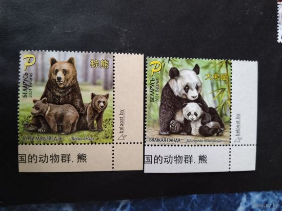 Беларусь  2024   2 м медведи