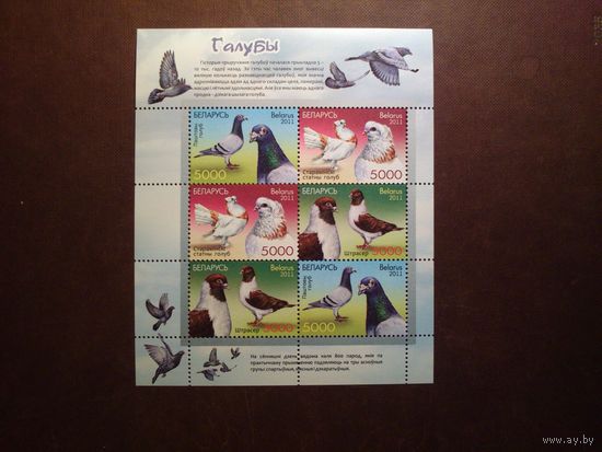 Беларусь 2011 г.Галубы./п-т/