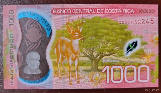 1000 колон 2018 (2021) - Коста-Рика - полимер - UNC