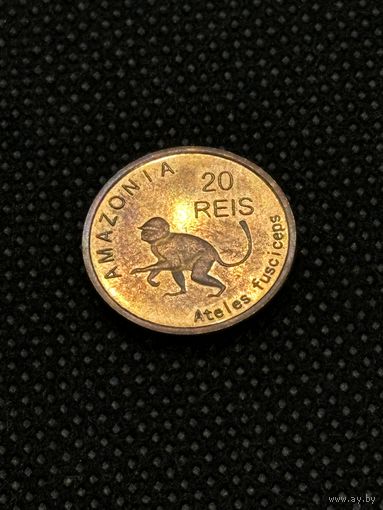 Амазония 20 Рейс 2012 г. Обезьяна