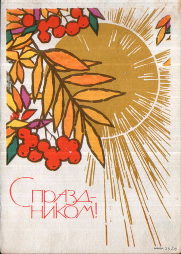 Подписанная открытка 1967г. "С праздником! Рябина на фоне солнца" худ. И. Коминарец