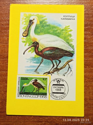 Календарик 1991 Колпица Каравайка