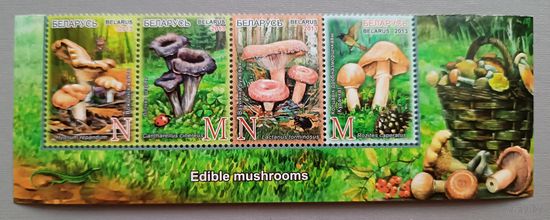 Грибы. Беларусь, 2013