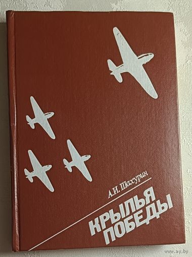 Шахурин Алексей. Крылья победы. 1984
