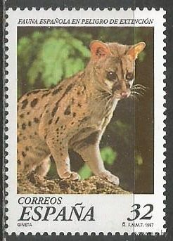 Испания. Тигрёнок. 1997г. Mi#3312.