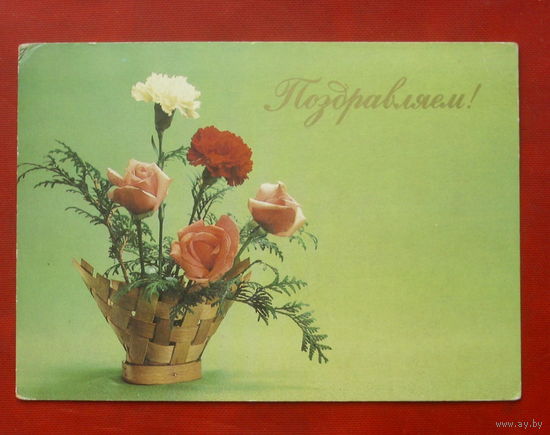 Поздравляем! Чистая. 1983 года. Фото Бабайлова. *383.