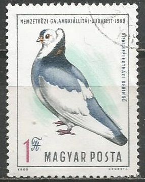 Венгрия. Голуби. 1969г. Mi#2562.