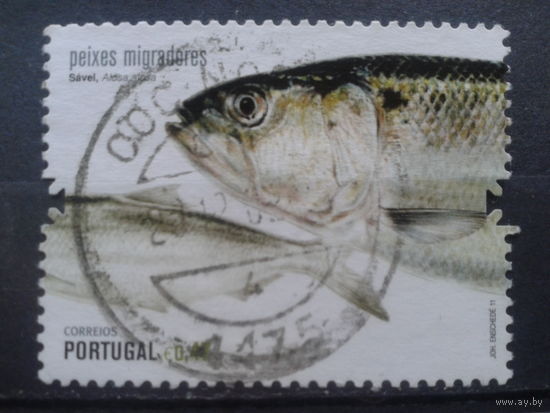 Португалия, 2011. Рыба