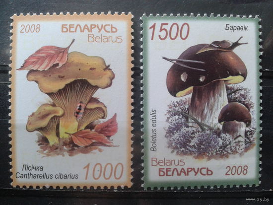 2008 Грибы** Полная серия