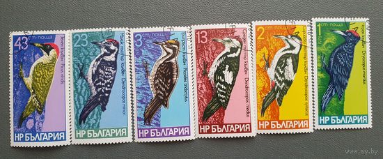 Болгария дятлы 6шт