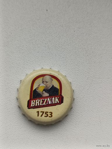 Пивные крышки - пробки