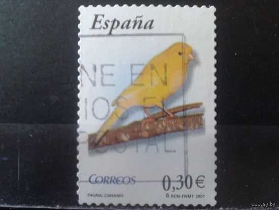 Испания 2007 Птица
