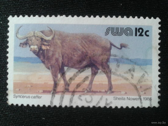 Юго-западная Африка, 1985. Буффало