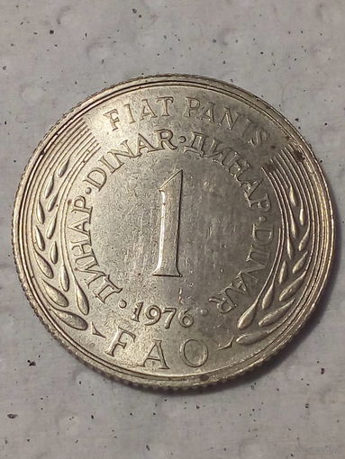 1 динар  Югославия 1976 год фао
