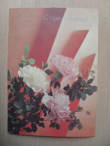 ПОДПИСАННАЯ ОТКРЫТКА. СССР. С ПРАЗДНИКОМ. ФОТО. И. ДЕРГИЛЕВА. 1990 г.