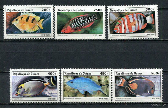 Гвинея - 1997 - Рыбки - [Mi. 1645-1650] - полная серия - 6 марок. MNH.  (Лот 88Gg)-T2P28