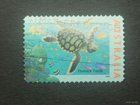 Австралия 1995. Жизнь моря. Австралийская зелёная черепаха. Самоклейка
