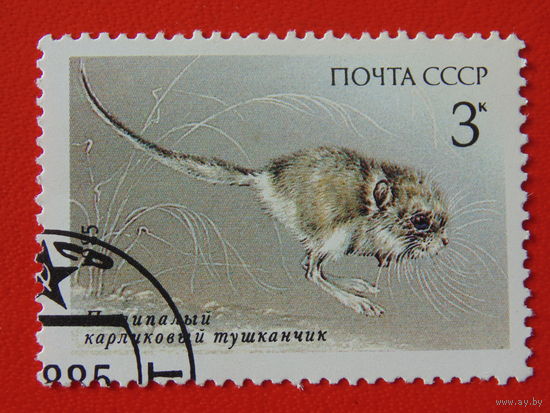 СССР 1985 г. Фауна.