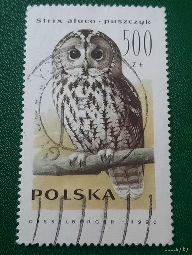 Польша 1990. Фауна. Птицы. Strix Aluco