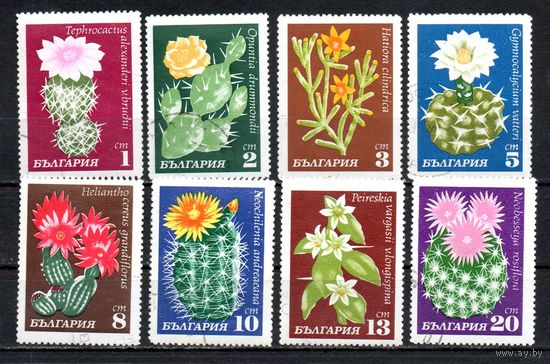 Цветы кактусов Болгария 1970 год серия из 8 марок