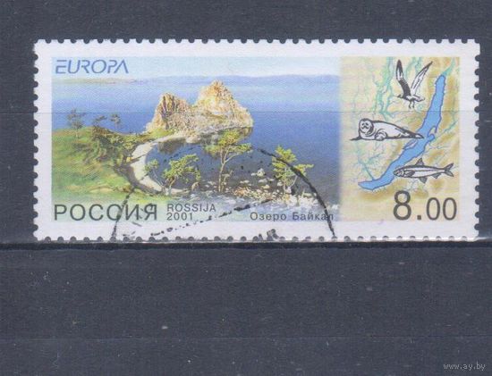 [1243] Россия 2001. Охрана Байкала.Фауна Байкала. Гашеная марка.
