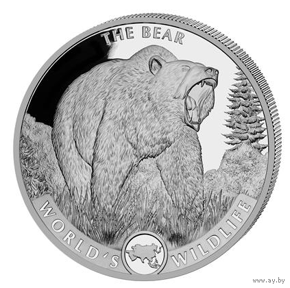 Конго 20 франков 2022 Медведь Дикая природа Серебро 9999