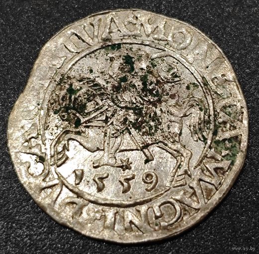 Литва 1/2 гроша, 1559 года. Сигизмунд II Август. Штемпельный блеск. Редкий брак - двойной удар. У лошади 2 головы. Из личной коллекции.