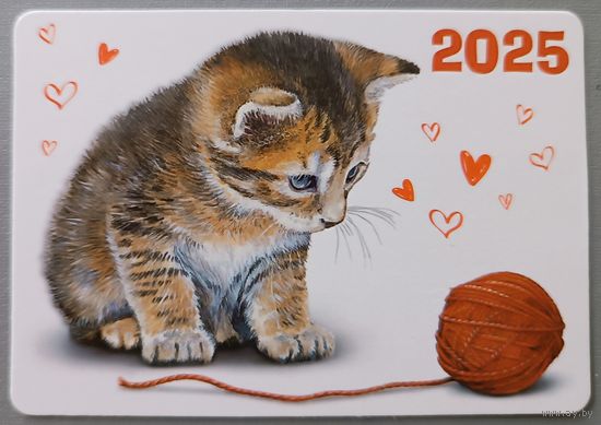 Игривый котенок. Календарик, глянец, 2025. Беларусь