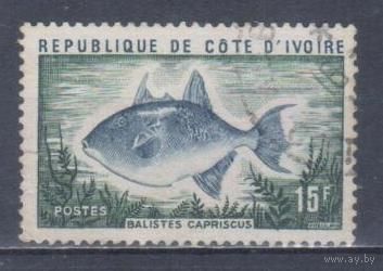 [1337] Кот д'Ивуар 1973. Фауна.Рыбы. Гашеная марка.