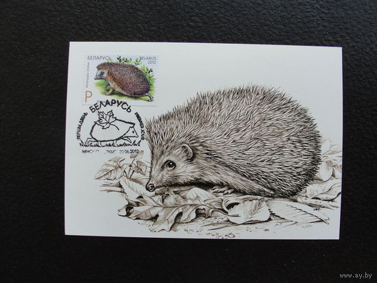 Продажа коллекции с 1 рубля! КПД Беларуси.