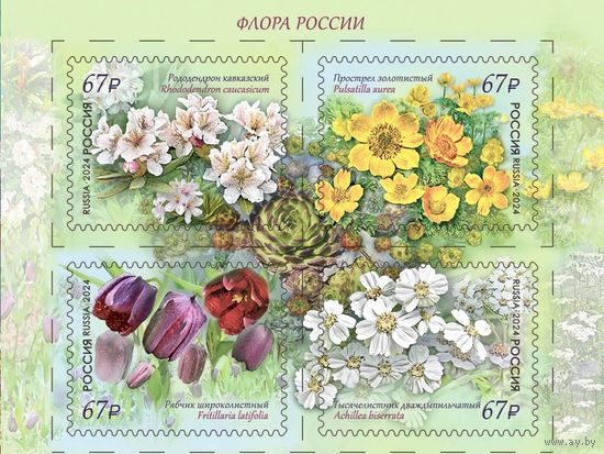 РОССИЯ 2024 3213-3216 Флора К 100-летию Кавказского государственного заповедника ** 07.03.2024 КВАРТ