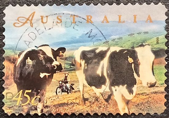 Австралия 1998. Домашний скот. Породы коров