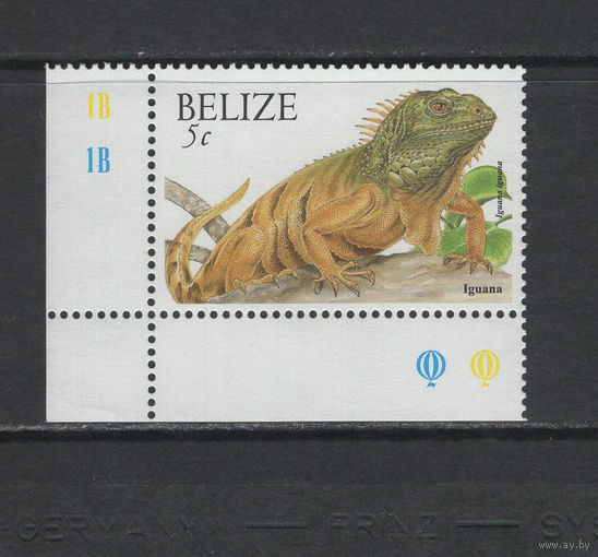 Белиз** Рептилии Травоядная крупная ящерица Игуана