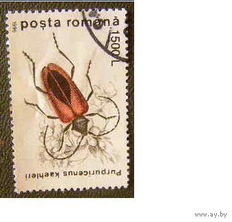 1996 год Румыния Жук фауна