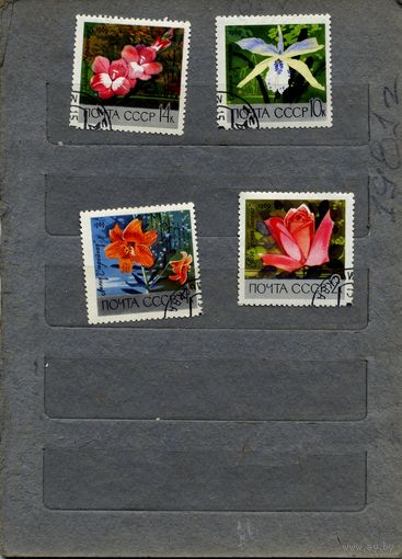 СССР, 1969, БОТ САД АН СССР ,  сборка  4м по 20 коп шт , гашеная