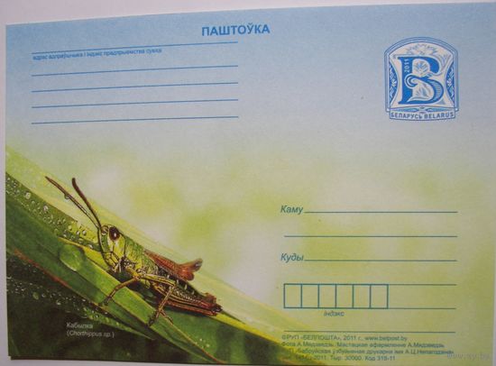 Карточки РБ. Кузнечик. 2011г.