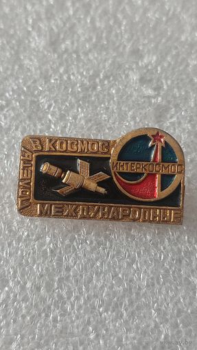 Значек знак Интеркосмос