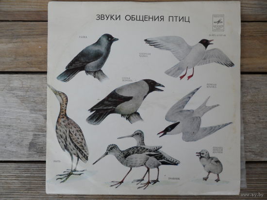 Пластинка (10") - Звуки общения птиц - АЗГ, 1980 г.