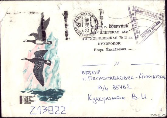 1971 год Гуси