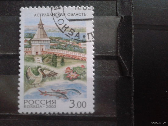Россия 2003 Астраханская область, птица, осетры с клеем без наклейки
